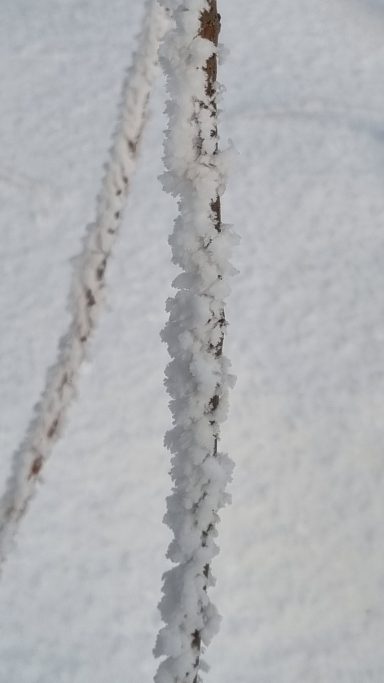 Eiszapfen hängen an einem Holzpfosten vor schneebedecktem Hintergrund.